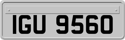 IGU9560