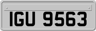 IGU9563