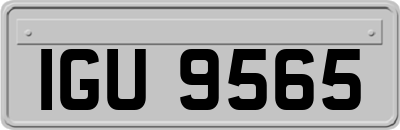 IGU9565