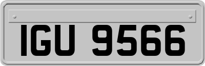 IGU9566
