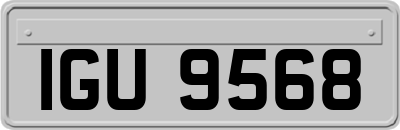 IGU9568