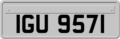 IGU9571