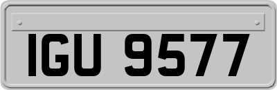 IGU9577