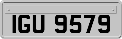 IGU9579