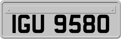 IGU9580