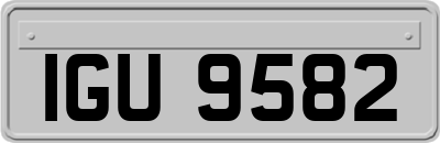 IGU9582