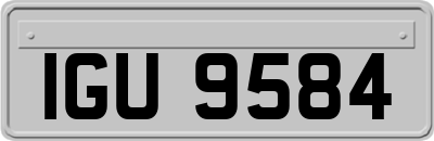 IGU9584