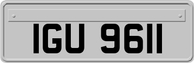IGU9611