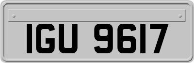 IGU9617