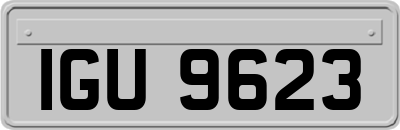 IGU9623