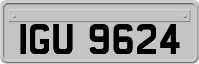 IGU9624