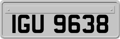 IGU9638