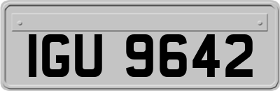 IGU9642