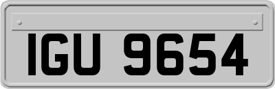 IGU9654