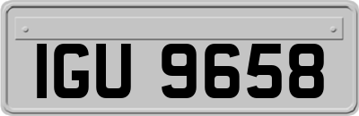 IGU9658