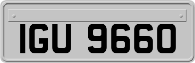 IGU9660