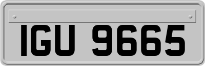 IGU9665
