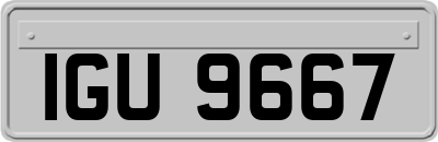 IGU9667