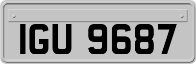 IGU9687