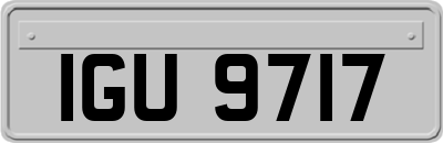 IGU9717