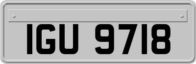 IGU9718