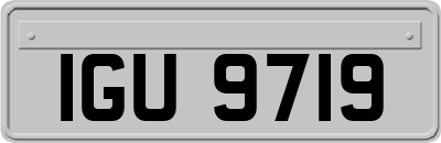 IGU9719