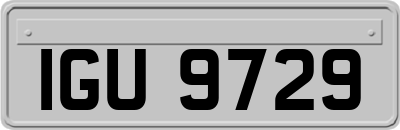 IGU9729