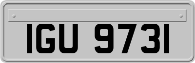 IGU9731