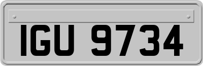IGU9734