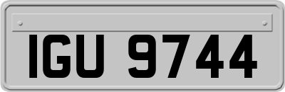 IGU9744