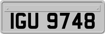 IGU9748