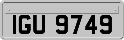 IGU9749