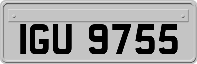 IGU9755