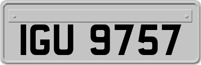 IGU9757