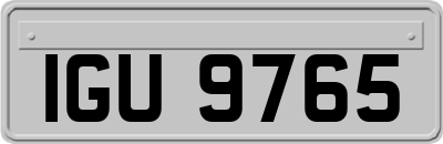 IGU9765