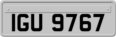 IGU9767