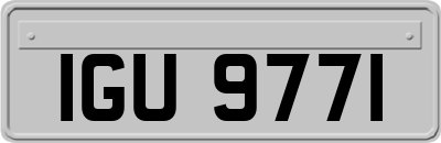 IGU9771