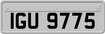 IGU9775