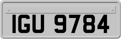 IGU9784