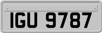 IGU9787