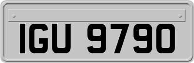 IGU9790