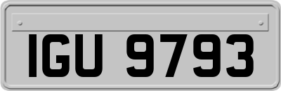 IGU9793