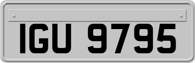 IGU9795