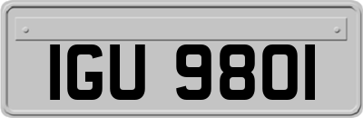 IGU9801