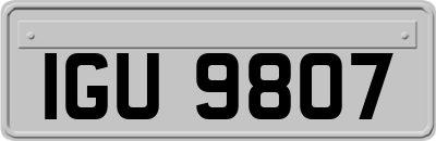 IGU9807