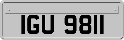 IGU9811