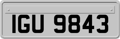 IGU9843
