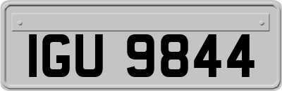 IGU9844