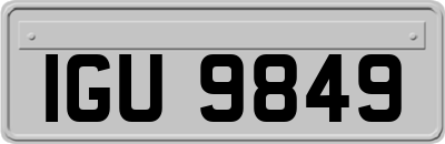 IGU9849