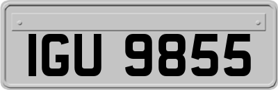 IGU9855